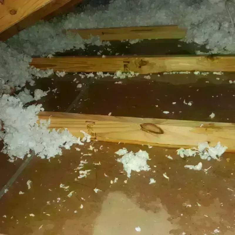 Attic Water Damage in La Pryor, TX