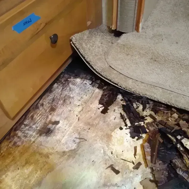 Best Wood Floor Water Damage Service in La Pryor, TX